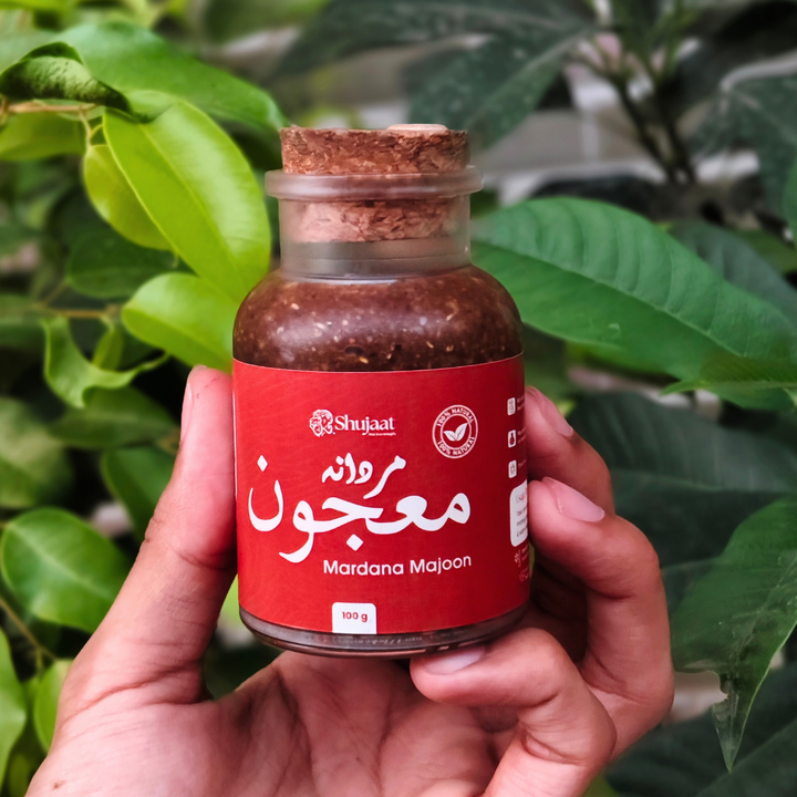 Shujaat Mardana Majoon